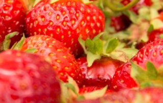 kastitäis maasikaid